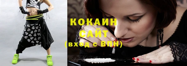 шишки Балабаново