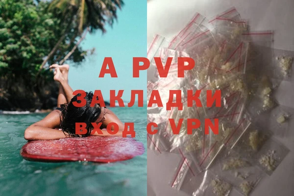 шишки Балабаново